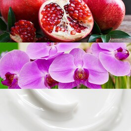 Euphoria - Woda perfumowana