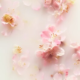 The Ritual of Sakura - Średni Zestaw Podarunkowy do Kąpieli i Ciała