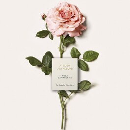 Chloé Atelier des Fleurs Rosa Damascena - Woda perfumowana