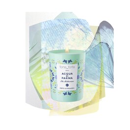 Mirto Di Panarea - Świeca Edycja limitowana forte_forte