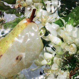 Aqua Allegoria Pera Granita – Woda toaletowa