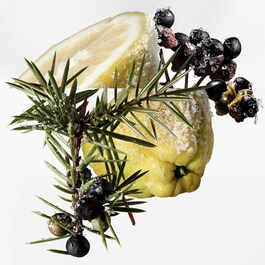 Terre d’Hermès Eau Givrée – Woda perfumowana