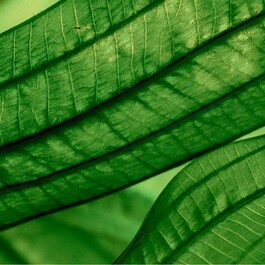 Aquasource Aura Concentrate - Serum regenerujące