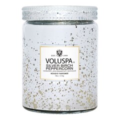 Vermeil Silver Birch Peppercorn Large Jar Candle - Świeca , VOLUSPA