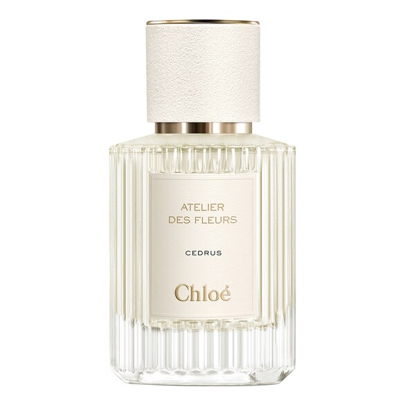 chloe atelier des fleurs - cedrus