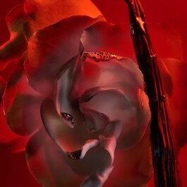 Allegra Baciami - Woda perfumowana