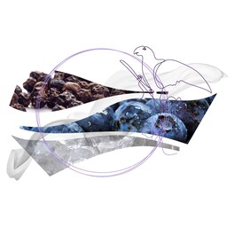 Cieli di Seta - Woda perfumowana