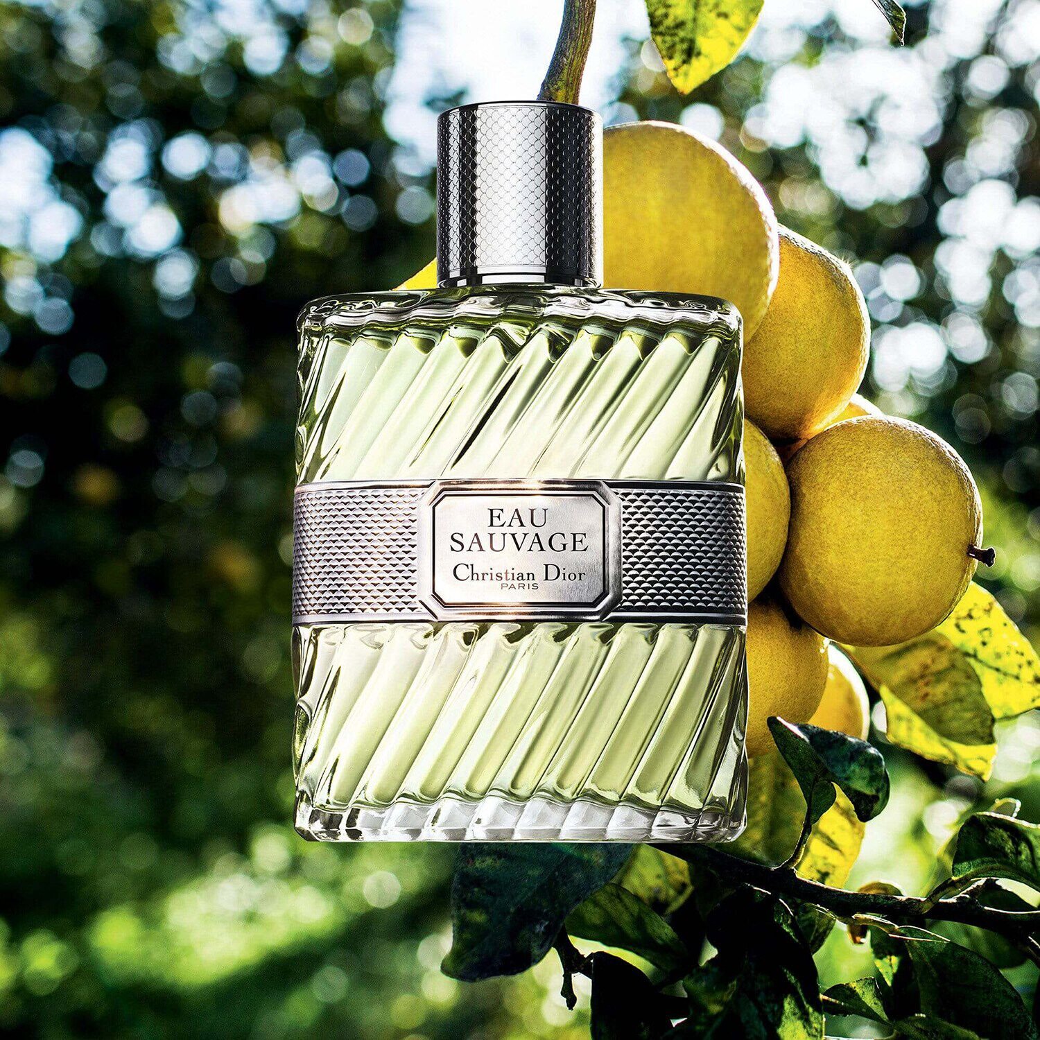 Dior sauvage 50 ml sephora store