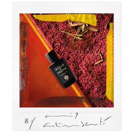 Signatures of the Sun Oud & Spice - Eau de Parfum Spicy Woody