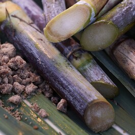 WASO - Maska z glinki mineralnej dogłębnie oczyszczająca pory