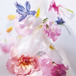 Miss Dior Roller Pearl - Woda perfumowana Roller-Pearl