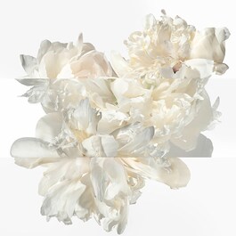 Twilly Eau Ginger - Woda perfumowana