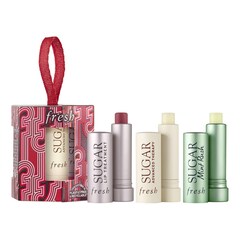 Tint & Treat Lip Care Set - Zestaw do pielęgnacji ust Tint & Treat, FRESH