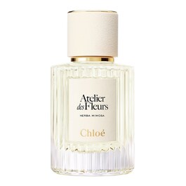 Atelier des Fleurs Herba Mimosa - Woda perfumowana