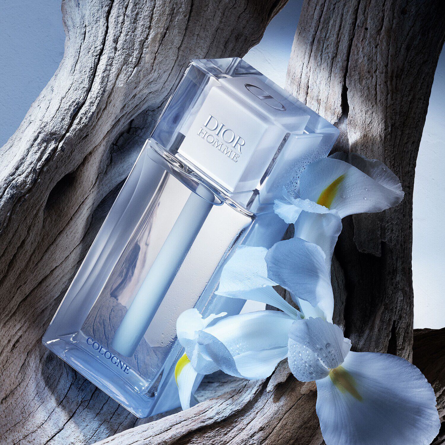 Dior Homme Cologne - Woda kolońska dla mężczyzn i DIOR (75
