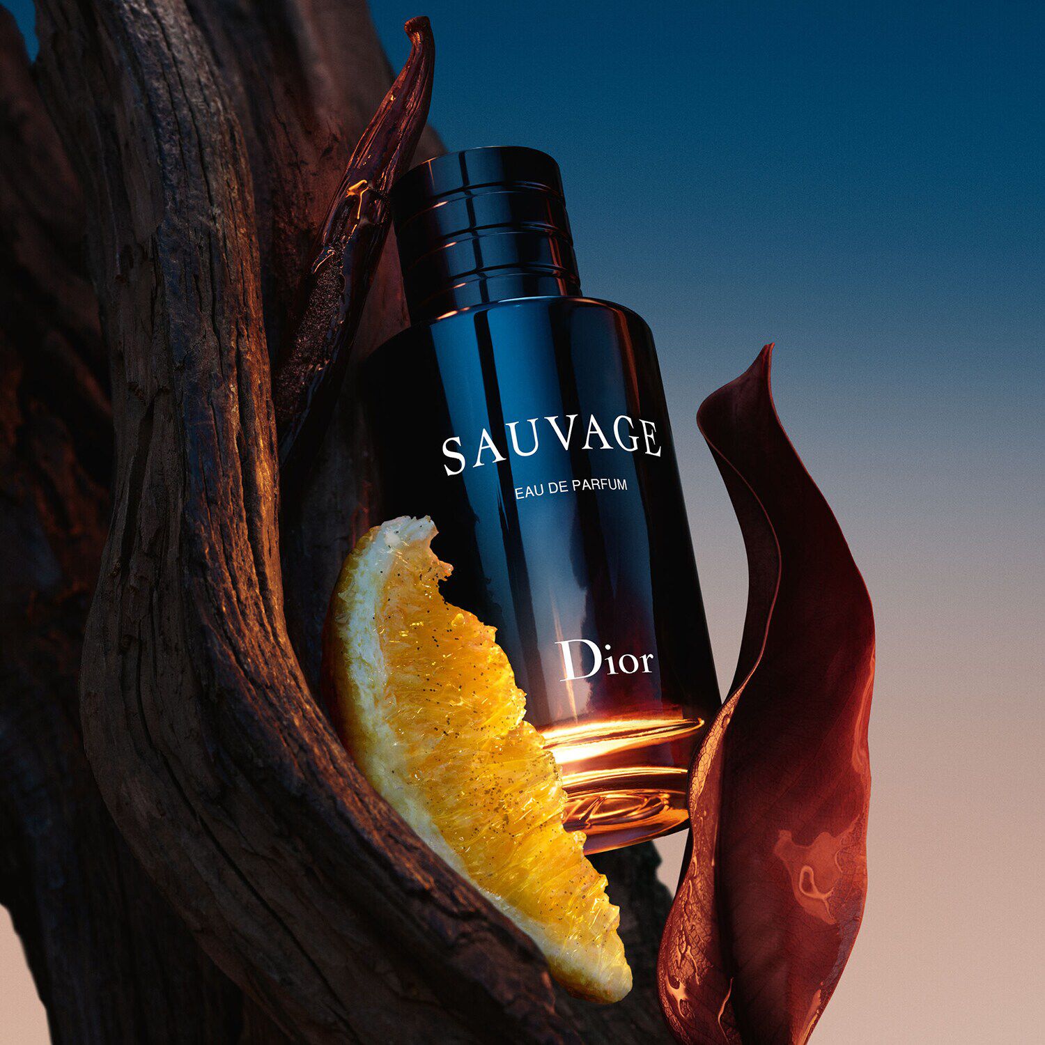 Dior sauvage eau de parfum prezzo online