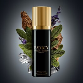 Bad Boy Power Spray  - Woda toaletowa