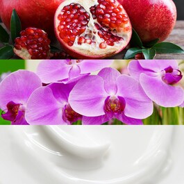 Euphoria - Woda perfumowana