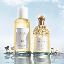 Aqua Allegoria Bergamote Calabria - Eau de Toilette