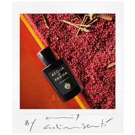 Signatures of the Sun Oud & Spice - Eau de Parfum Spicy Woody