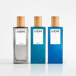 7 ANONIMO EDP