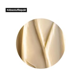 Absolute Repair maska