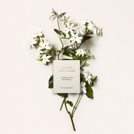 Chloé Atelier des Fleurs Jasminum Sambac - Woda perfumowana