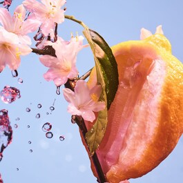 CHILL&SOLE - Eau de Parfum