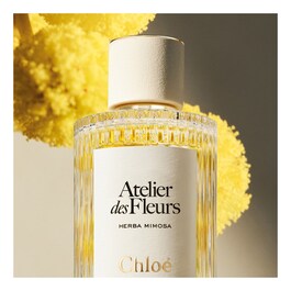 Atelier des Fleurs Herba Mimosa - Woda perfumowana