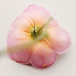  Atelier des Fleurs Rosa Damascena - Woda perfumowana