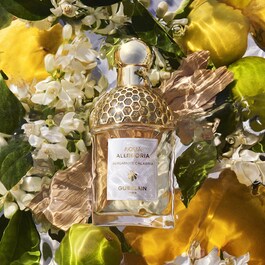 Aqua Allegoria Bergamote Calabria - Eau de Toilette