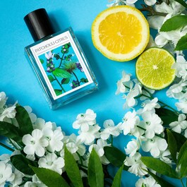 Patchouli Citrus – Woda perfumowana