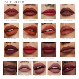 Pure Color Matte Lipstick