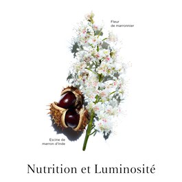 Nutri-Lumière - Rewitalizująca esencja pielęgnująca