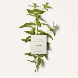 Chloé Atelier des Fleurs Verbena - Woda perfumowana