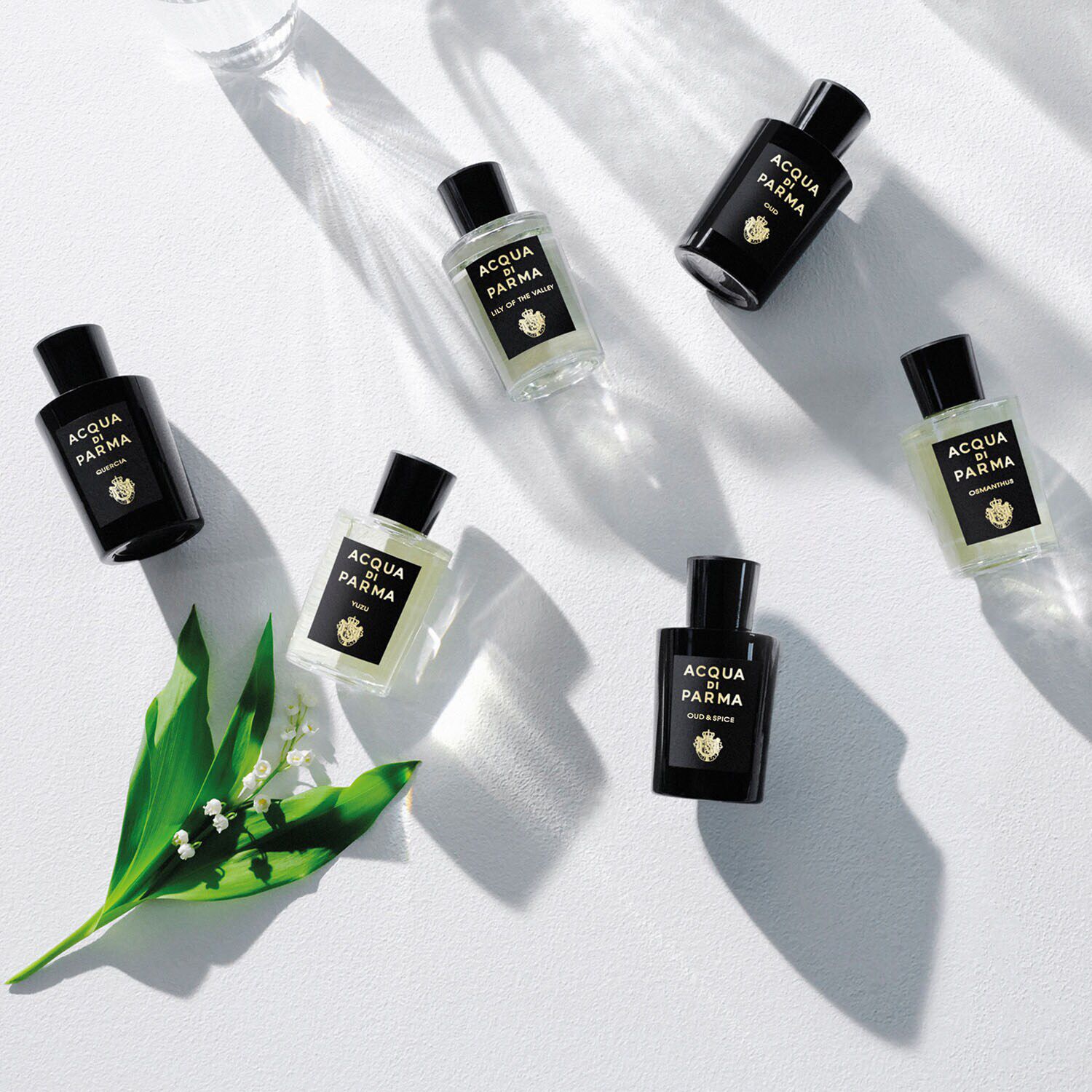 Signatures of the Sun Osmanthus - Eau de Parfum Floral
