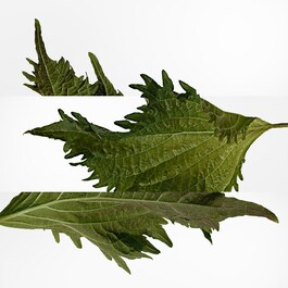 Terre d'Hermès - Perfumy