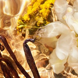 Aqua Allegoria Forte Bosca Vanilla - Woda perfumowana