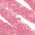 9 Fushia