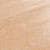 Biscuit (6 ml)