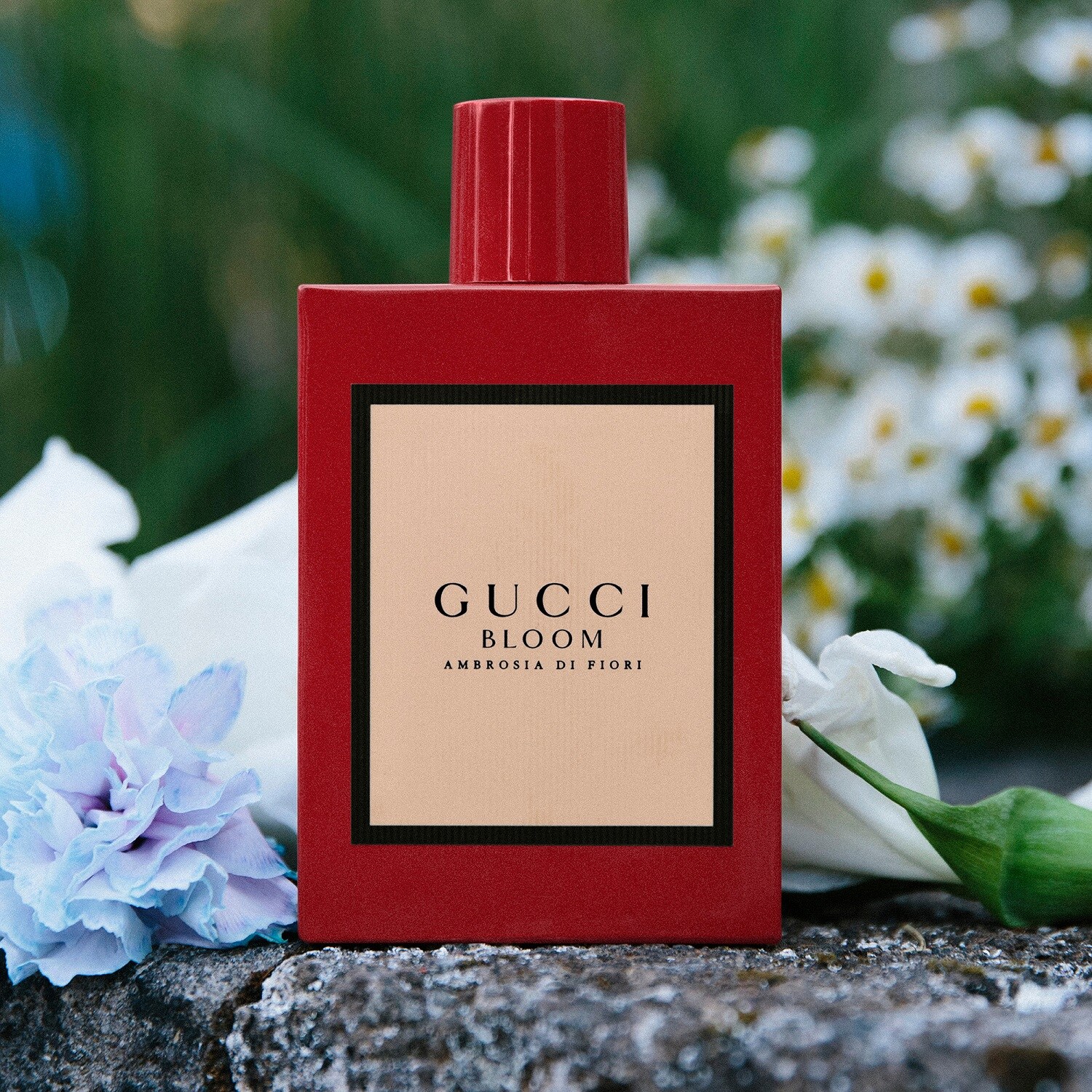 Gucci Bloom Ambrosia Di Fiori - Woda perfumowana i GUCCI ...