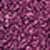 503 Neon Prune