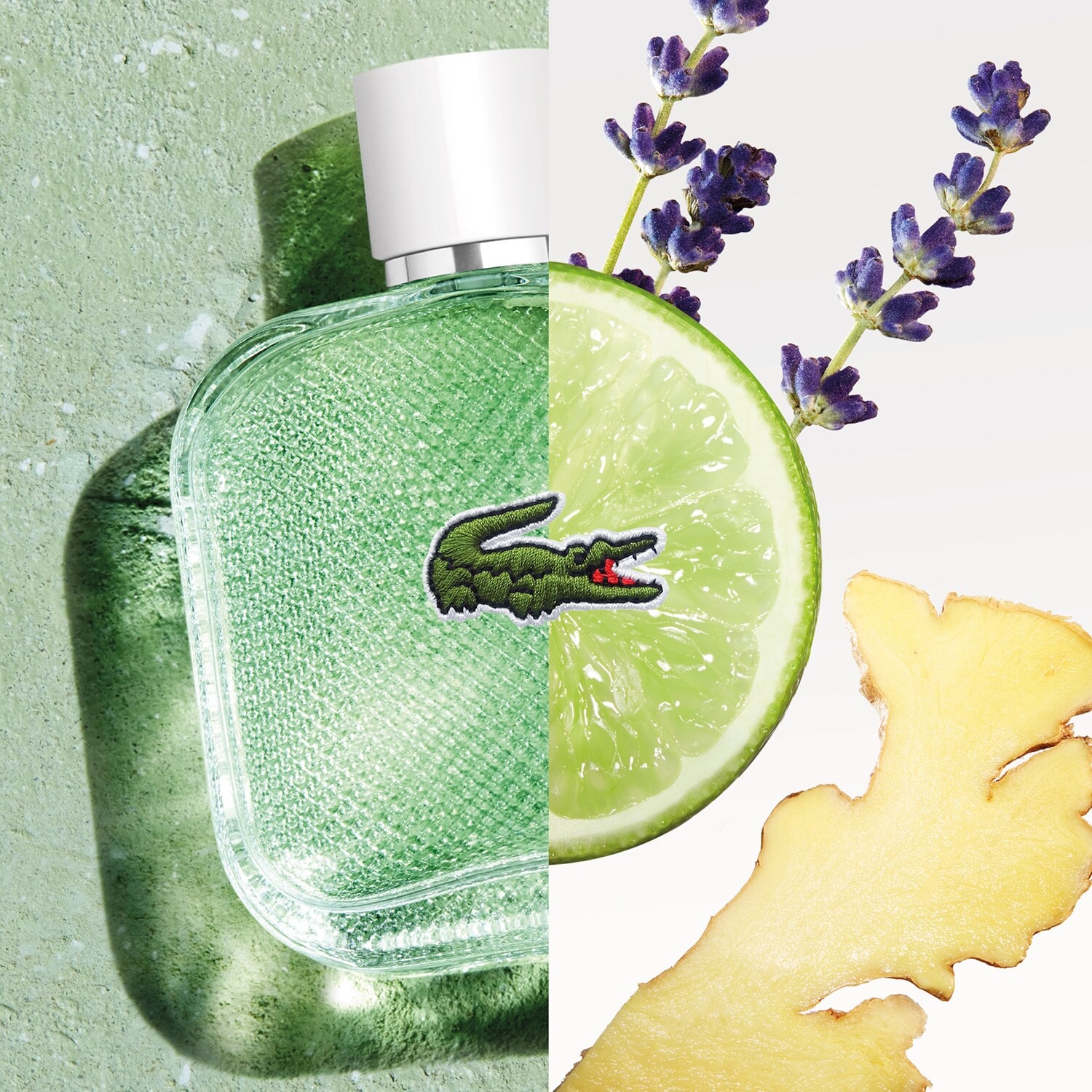Lacoste L.12.12 Blanc Eau Fraîche for men - Woda toaletowa i LACOSTE ≡ ...