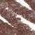 03 Chocolate Chip (0,3 g)