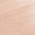 Y315 Sable (30 ml)
