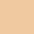 Anti-Blemish Concealer 02